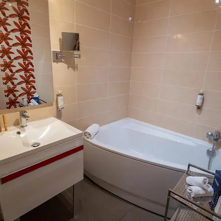 Brun Hotel Saint-Lattier